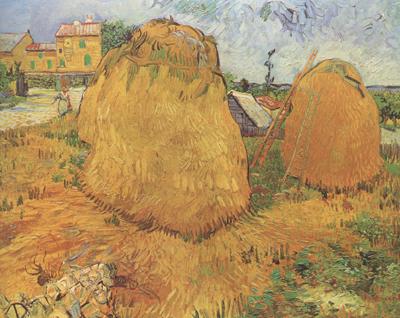 Vincent Van Gogh Haystacks in Provence (nn04) oil painting picture